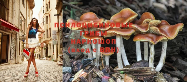 прущая мука Переславль-Залесский